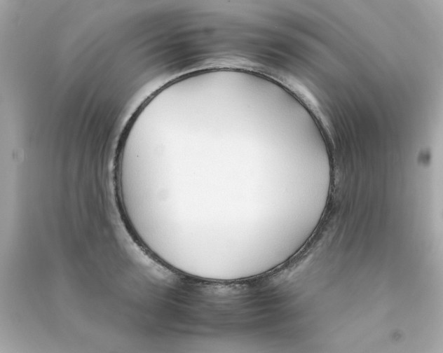 X0000090470947200708102130