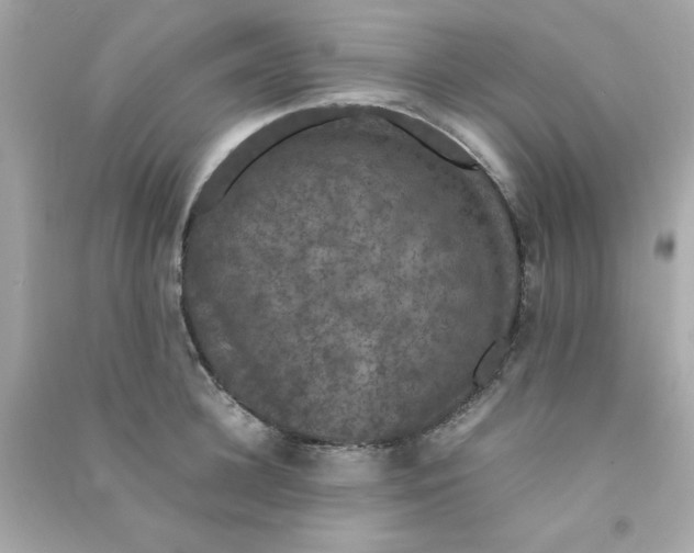 X0000090470948200708102130