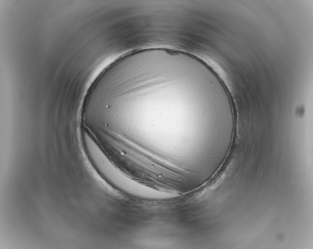 X0000090470949200708102130