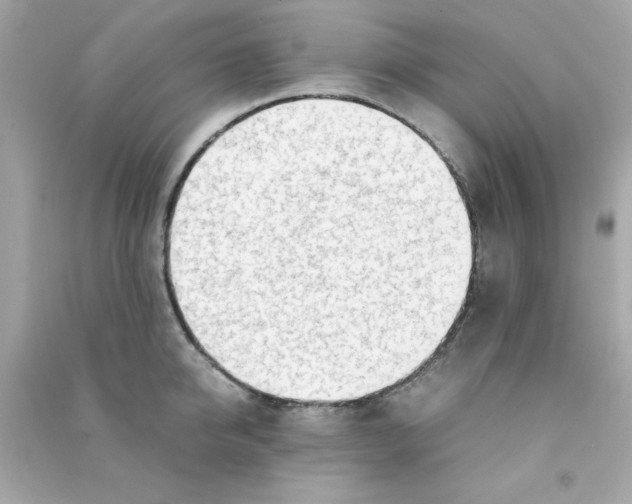 X0000090470950200708102130