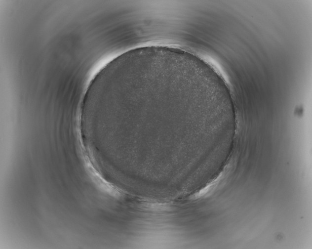 X0000090470952200708102130