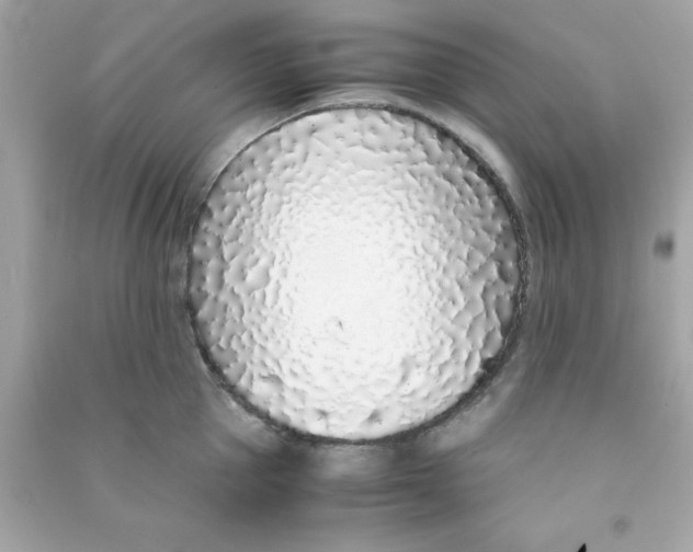 X0000090470953200708102130