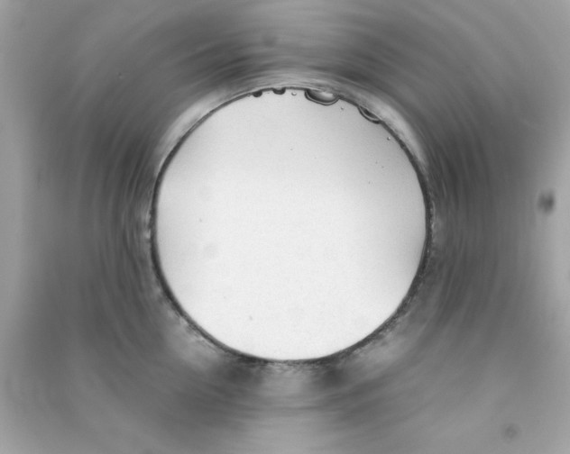 X0000090470954200708102130