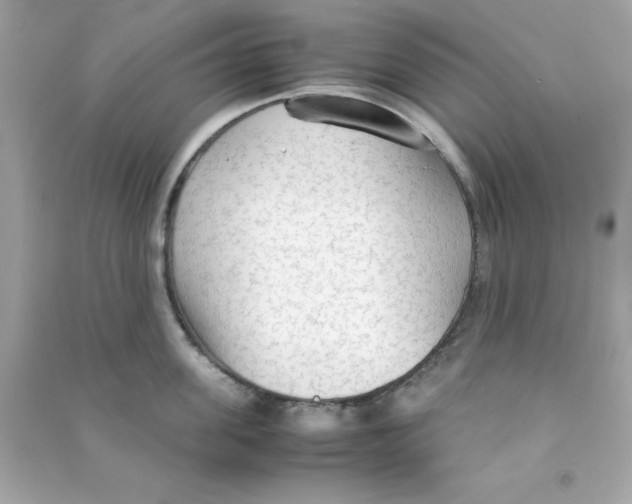 X0000090470955200708102130