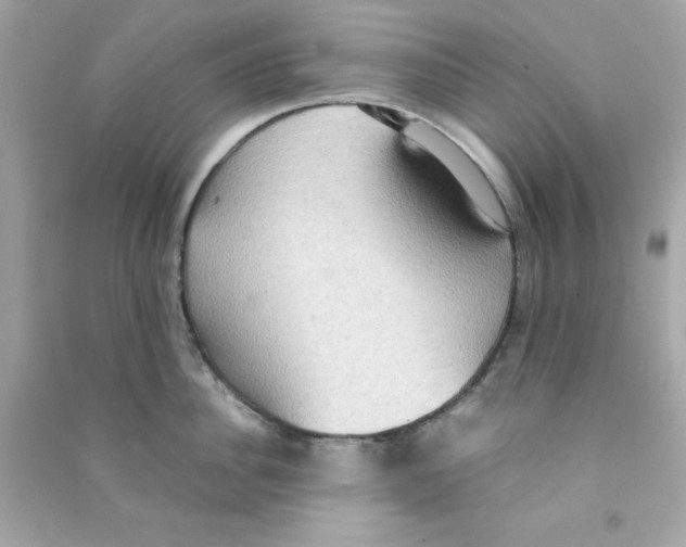 X0000090470956200708102130