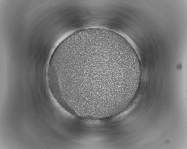 X0000090470957200708102130