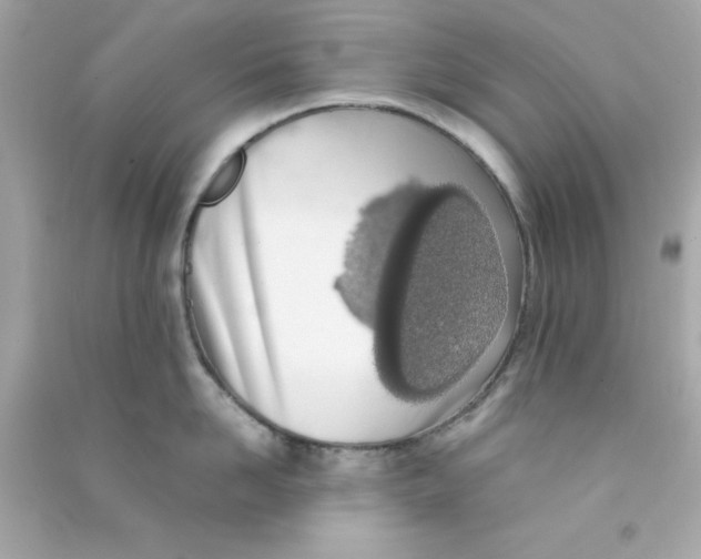 X0000090470958200708102130