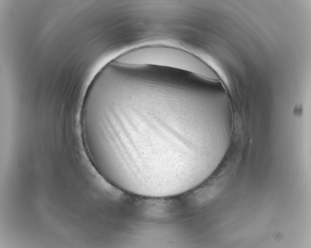 X0000090470959200708102131