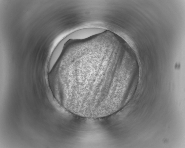 X0000090470960200708102131