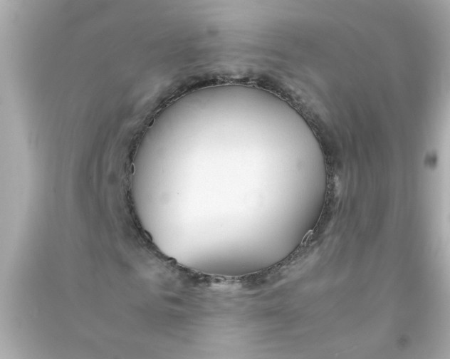 X0000090470961200708102130