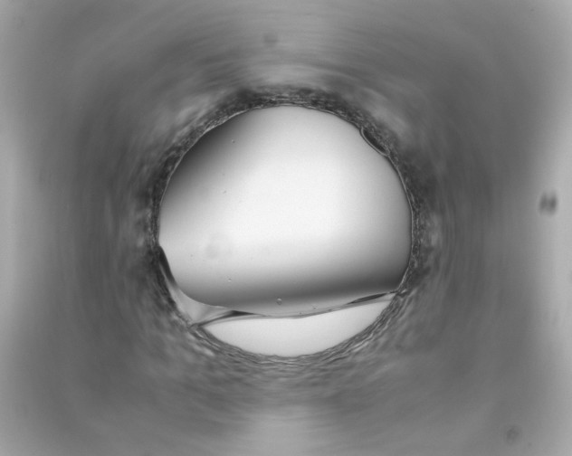 X0000090470965200708102130