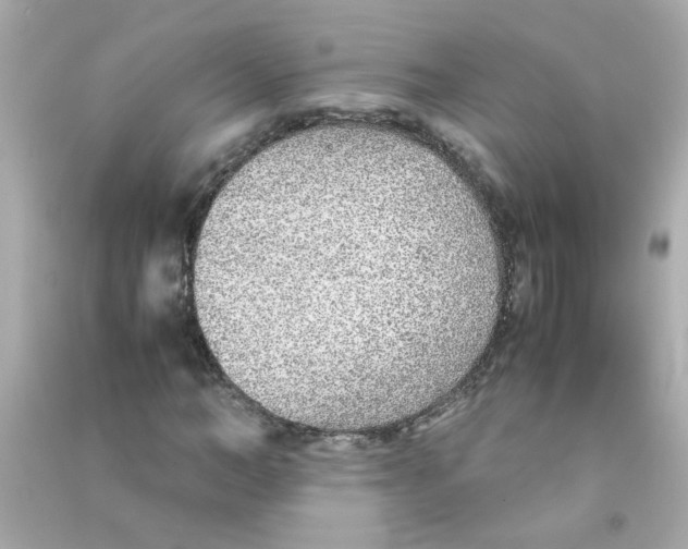 X0000090470966200708102130