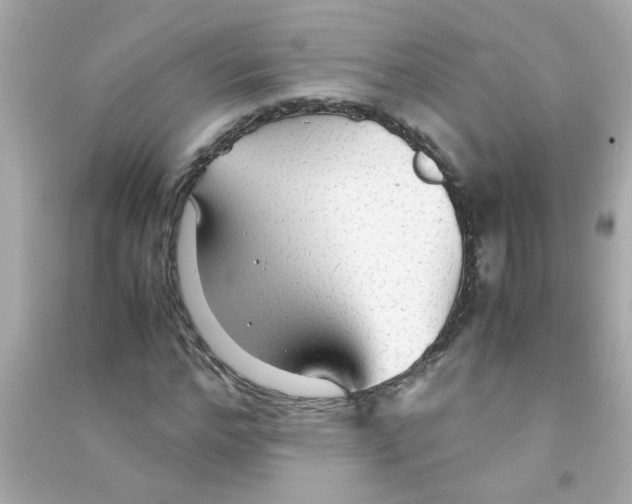 X0000090470968200708102130