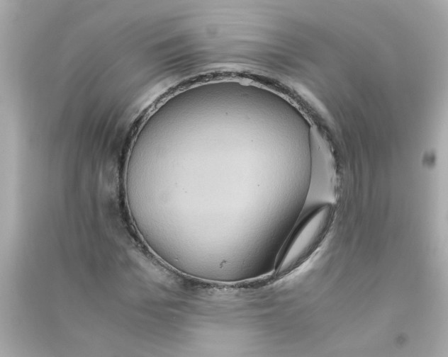 X0000090470969200708102130