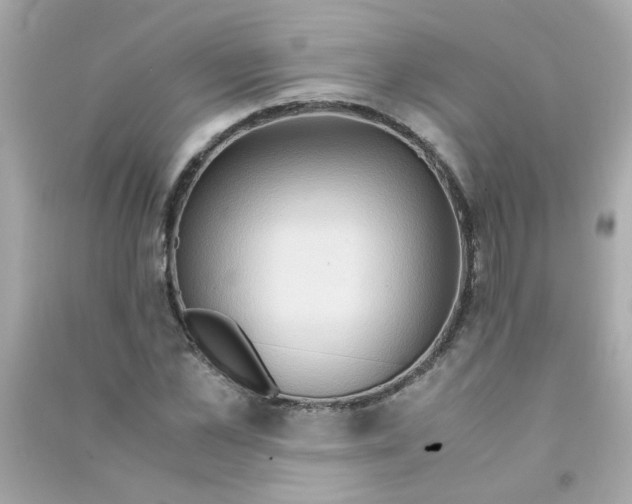 X0000090470973200708102130