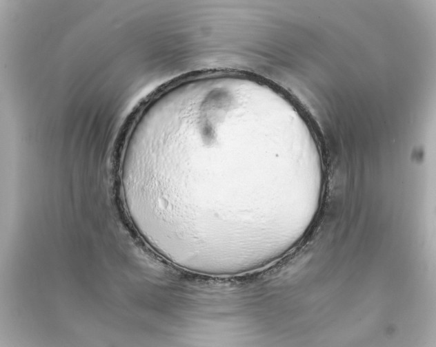 X0000090470975200708102130