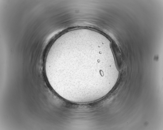 X0000090470979200708102130