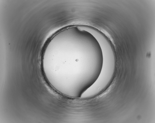 X0000090470981200708102130