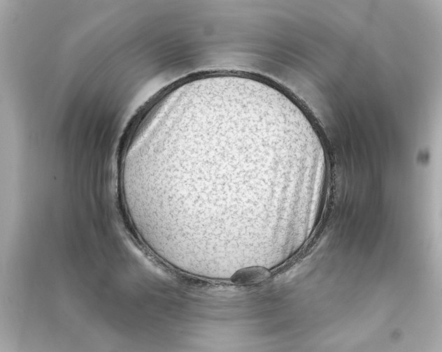 X0000090470982200708102130