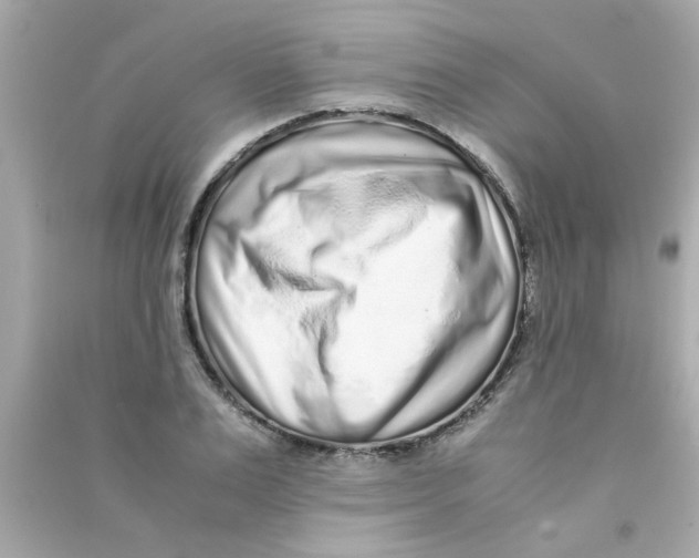 X0000090470983200708102130