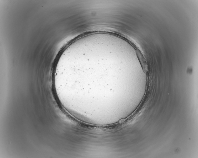 X0000090470987200708102129