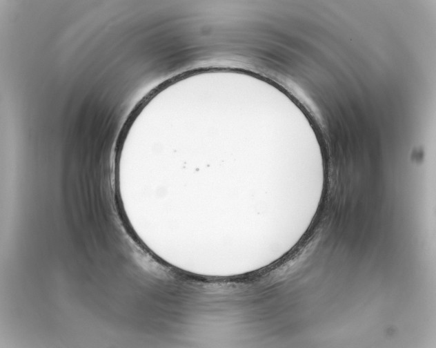 X0000090470988200708102129