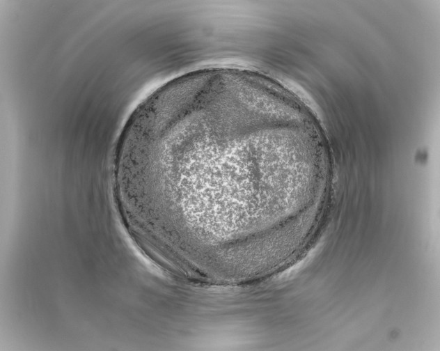 X0000090470989200708102129