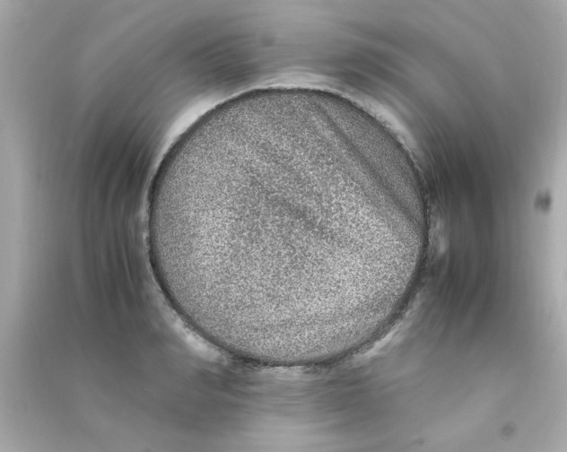 X0000090470990200708102129