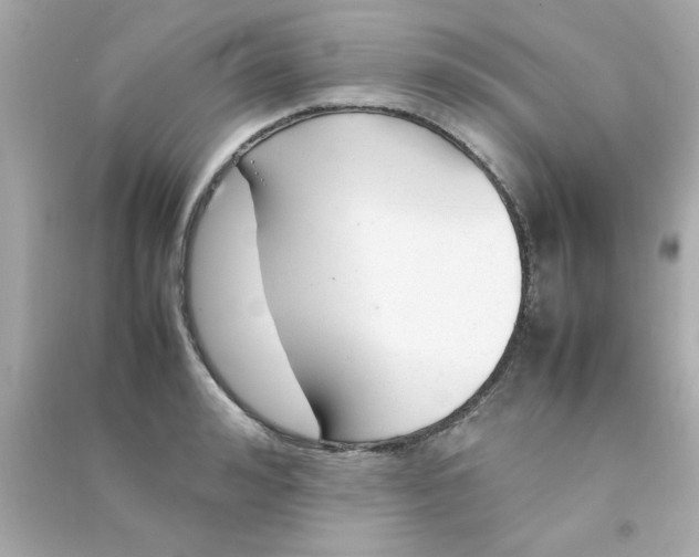 X0000090470992200708102129