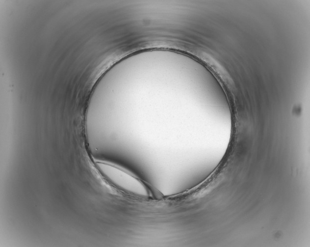 X0000090470993200708102129