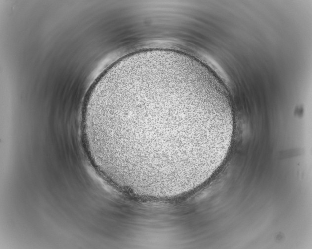 X0000090470994200708102129