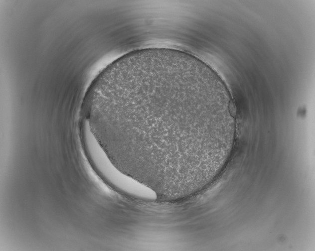 X0000090470995200708102129