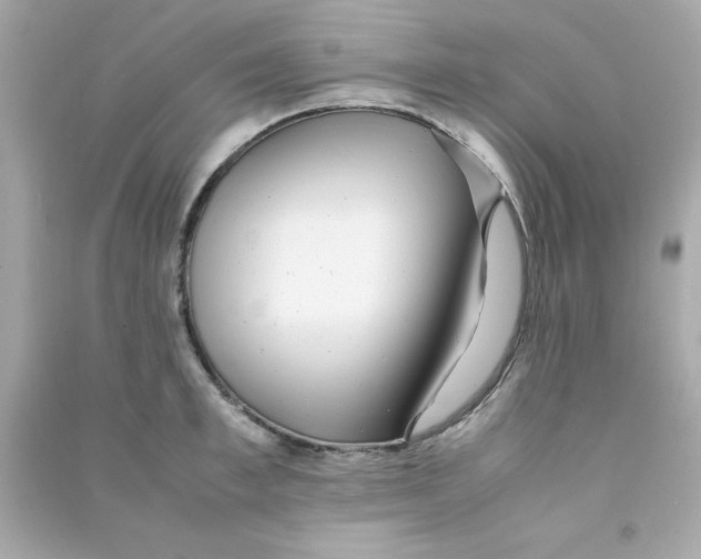 X0000090470997200708102129