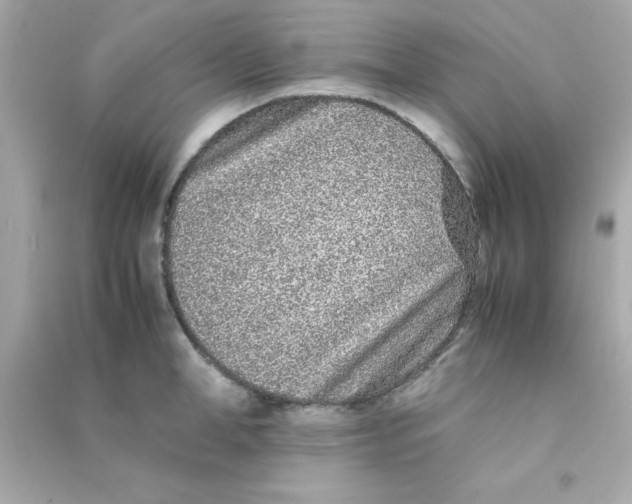 X0000090470998200708102129