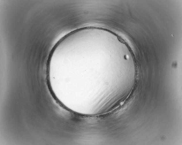 X0000090470999200708102129