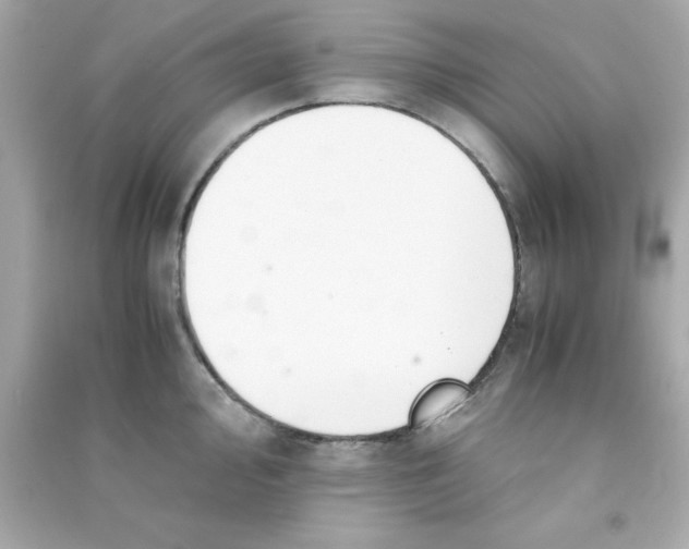 X0000090471000200708102129