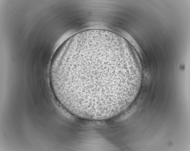 X0000090471002200708102129