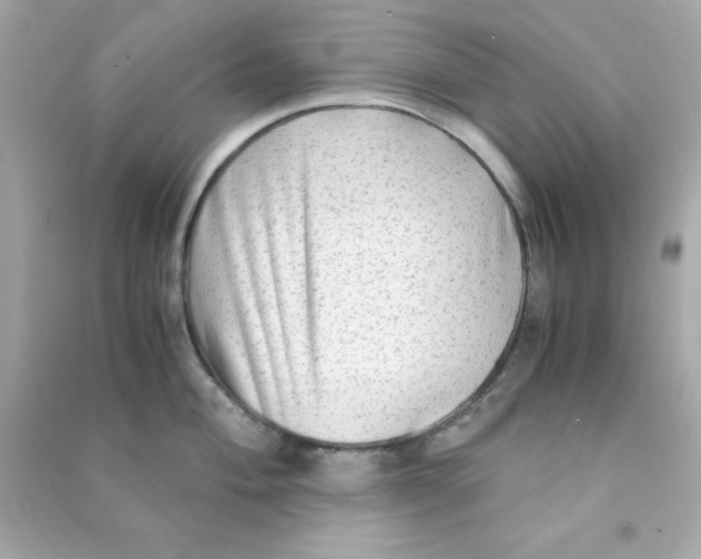 X0000090471004200708102129