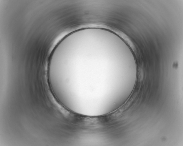 X0000090471006200708102129