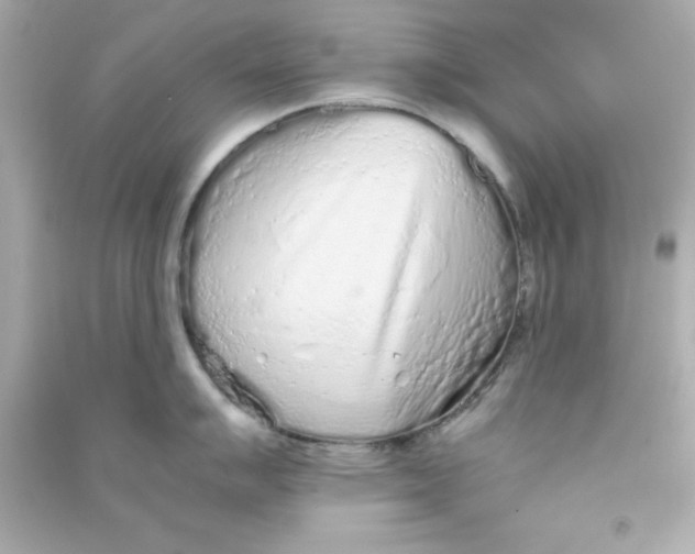 X0000090471007200708102129