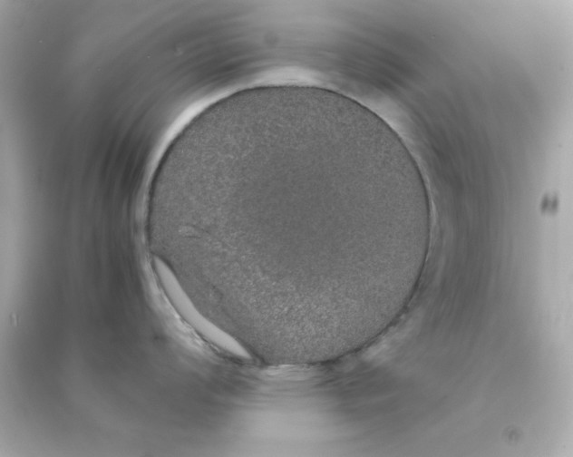 X0000090471008200708102129