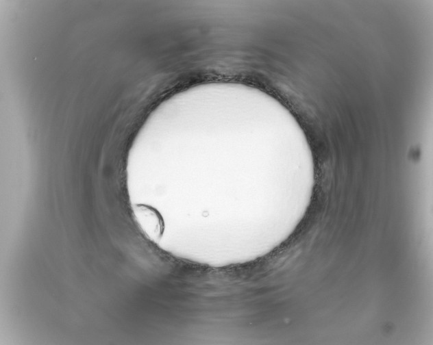 X0000090471009200708102129