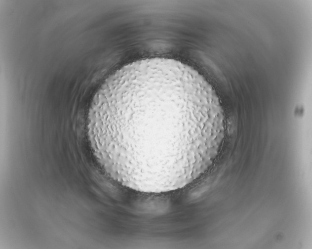 X0000090471011200708102129