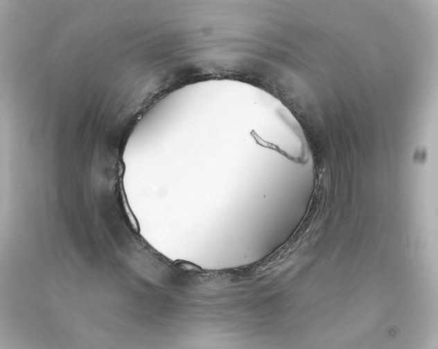 X0000090471012200708102129