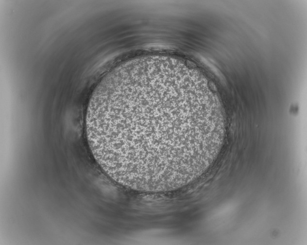 X0000090471015200708102129