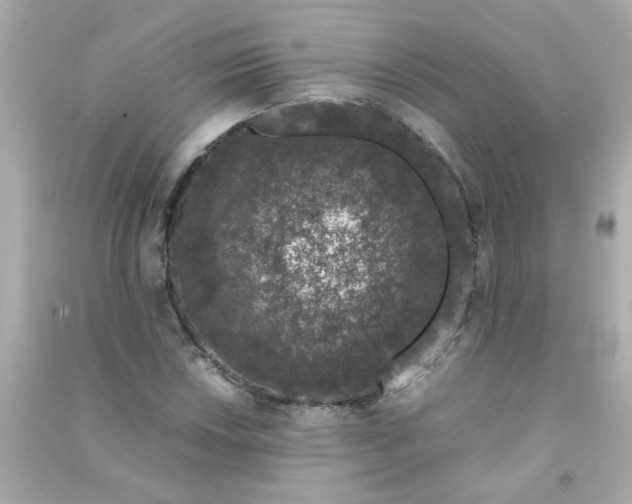 X0000090471018200708102129