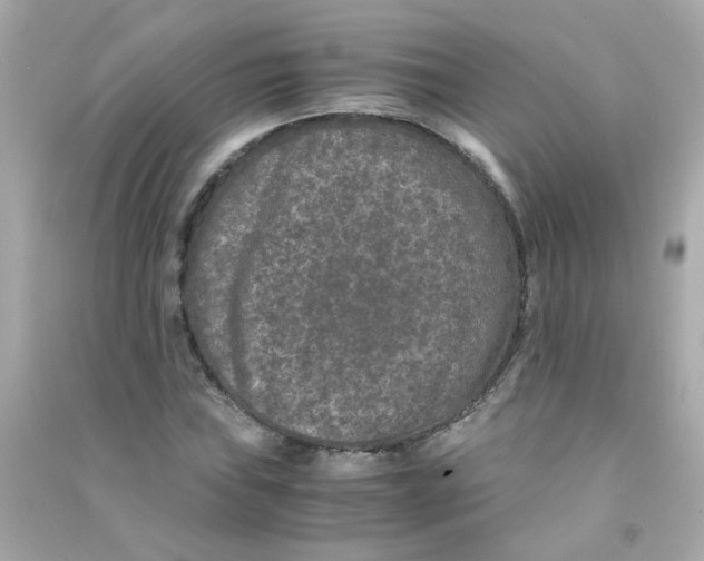 X0000090471019200708102129