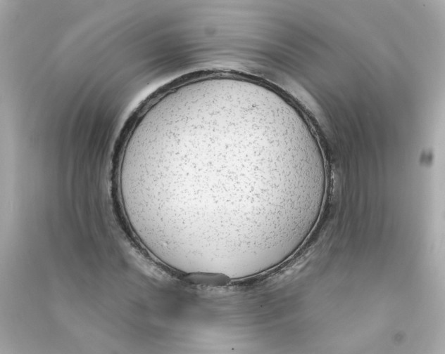 X0000090471020200708102129