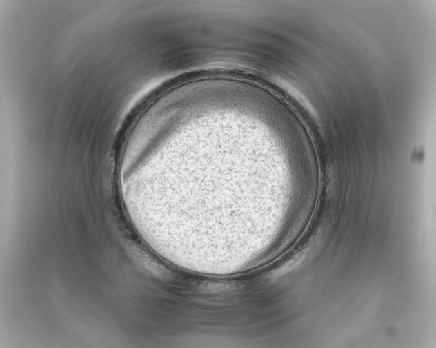 X0000090471021200708102129