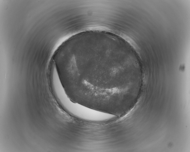 X0000090471022200708102129